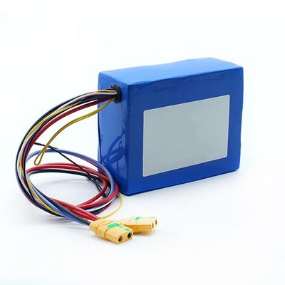 SGS 13s 48v 24Ah 21700 batterie Li Polymer Pack BIS MSDS IEC62133 Rohs